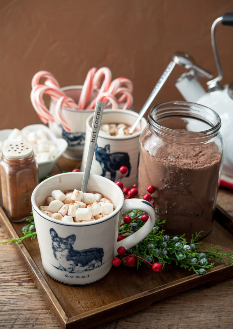 A cup of hot chocolate is topped with marshmellow and Chrinstmas candy cane