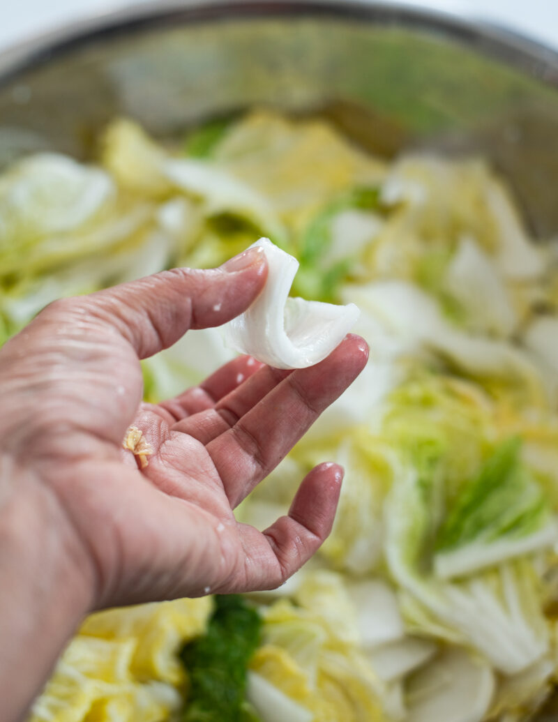 A hand is bending a wilted cabbage piece to check if it is bending eaily without breaking.